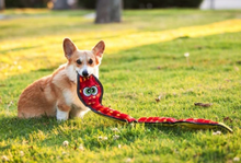 Load image into Gallery viewer, Tough Seamz Snake - 6 squeaker
