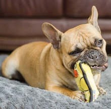 Load image into Gallery viewer, Invincibles Mini Duck Dog Toy