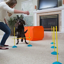 Load image into Gallery viewer, ZipZoom Indoor Agility Kit