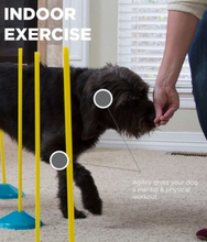 Load image into Gallery viewer, ZipZoom Indoor Agility Kit