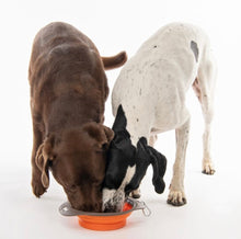 Load image into Gallery viewer, Foldable Bowl-On-The-Road MPets