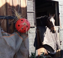 Load image into Gallery viewer, Robust A Ball for Horses - Out of Stock