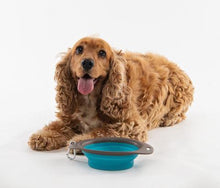 Load image into Gallery viewer, Foldable Bowl-On-The-Road MPets