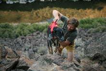 Load image into Gallery viewer, Ruffwear Web Master Multi-Use Dog Harness