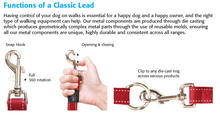 Load image into Gallery viewer, ROGZ Classic Reflective Lead