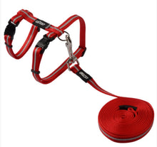 Load image into Gallery viewer, ROGZ Alley Cat SAFETY RELEASE Collar and ROGZ Alley Cat H-Harness with a Lead - Small & X-Small