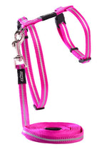 Load image into Gallery viewer, ROGZ Alley Cat SAFETY RELEASE Collar and ROGZ Alley Cat H-Harness with a Lead - Small & X-Small