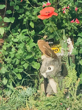 Load image into Gallery viewer, Realistic Dog & Puppy Toys - Rabbit, Squirrel or Duck