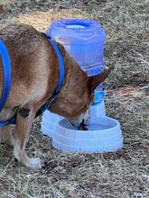 Load image into Gallery viewer, SUMMER SPECIAL: M-PETS Saone Water Dispenser - 11000ml - Large