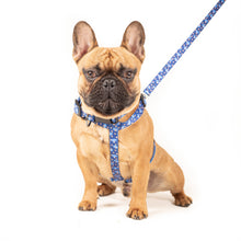 Load image into Gallery viewer, URBANPAWS Mutley Dog Lead 1,2m