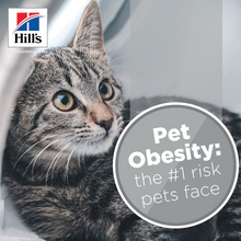 Load image into Gallery viewer, HILL'S SCIENCE PLAN Adult Perfect Weight Dry Cat Food Chicken Flavour - 1.5kg, 2.5kg or 7kg,