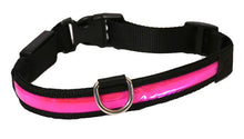 Load image into Gallery viewer, Premium Flashing Dog Collar