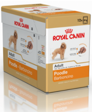 Load image into Gallery viewer, ROYAL CANIN Poodle Adult Wet Dog Food Pouches - 12 x 85g