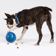 Load image into Gallery viewer, ROGZ TUMBLER TREAT PUZZLE SLOW FEEDER - Blue or Pink (12cm)