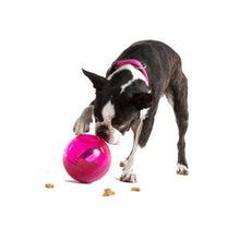 Load image into Gallery viewer, ROGZ TUMBLER TREAT PUZZLE SLOW FEEDER - Blue or Pink (12cm)