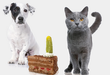 Load image into Gallery viewer, Enterozoo Detoxication Gel