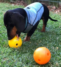 Load image into Gallery viewer, ROBUSTABALL (Large or Small) - Out of Stock