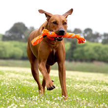 Load image into Gallery viewer, ROGZ SCRUBZ ROPE DOG TOY