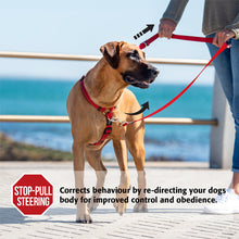 Load image into Gallery viewer, ROGZ CONTROL MULTI LEAD for Improved Control Walks