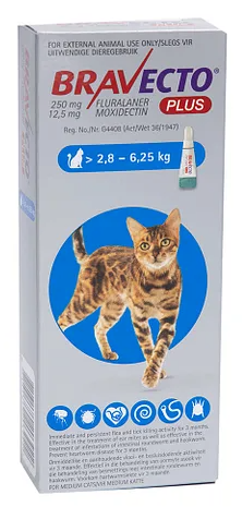Bravecto for best sale cats best price
