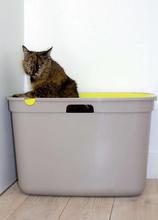 Top Cat Litter Box
