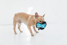 Load image into Gallery viewer, Toughseams Elephant Dog Toy
