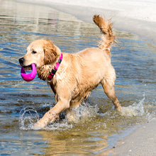 Load image into Gallery viewer, ROGZ Pop-Upz Dog Toy Pink or Blue