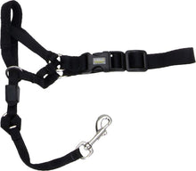 Load image into Gallery viewer, Rosewood Walk 'n Train Head Halter - Small, Medium or Large