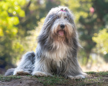 Load image into Gallery viewer, Jackie Wernberg Photography