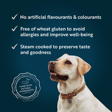 Load image into Gallery viewer, Amigo Integrity Senior Dog Food 8kg or 20kg