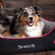 SCRUFFS Thermal Box Bed for Dogs