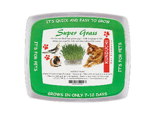 Load image into Gallery viewer, Kunduchi Super Grass for Cats - Fresh, Living Supplement