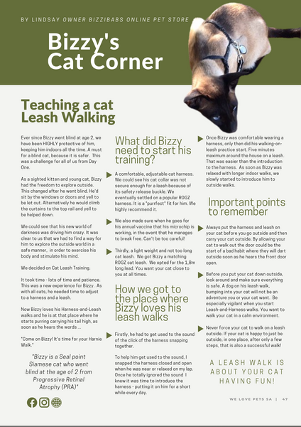 Bizzy's Cat Corner - a Regular Feature in WeLovePetsSA -  Next Edition out on 4th June 2021!