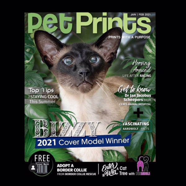 2021 Pet Prints Cover Model Winner - Bizzy, Cat-in-Charge-of Bizzibabs