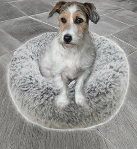 Silver Fluff Comfort Dog Bed - Medium 66cm x 66cm