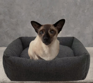 Memory Foam Grey Felt Small Dog Bed - 54cm x 45cm