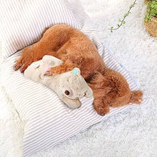 Load image into Gallery viewer, Plush Bear, Warm Bear Comfort Dog Toy  with a Removable Microwave Bag (38cm x 20cm)
