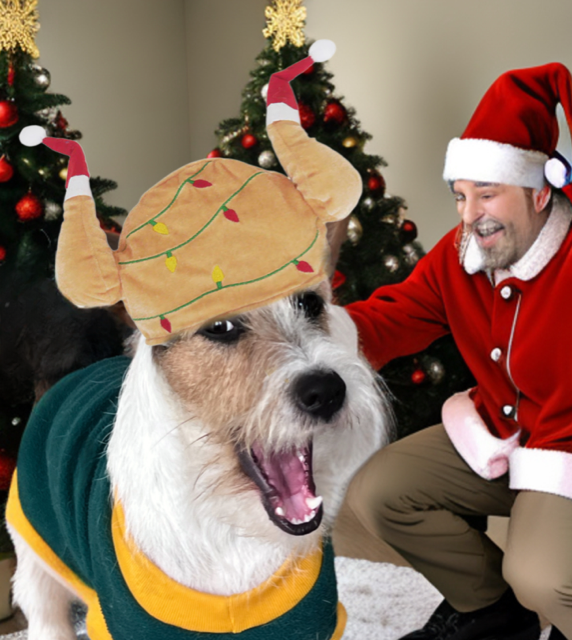 Turkey Dress Up Festive Hat for Dogs