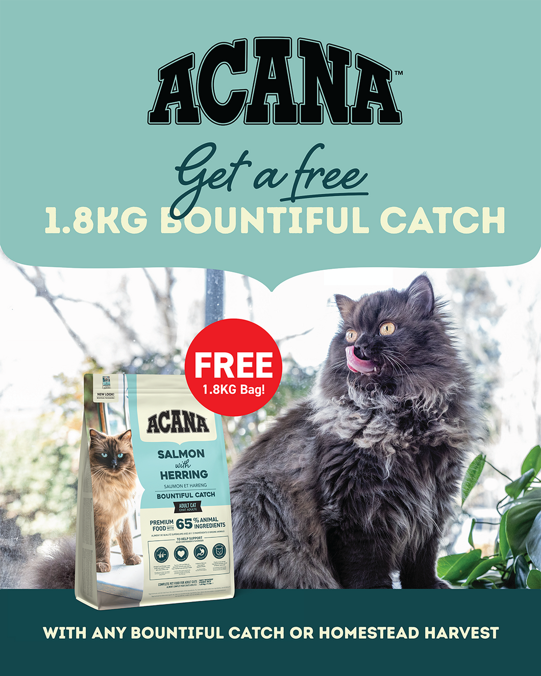 ACANA CAT FOOD:  Bountiful Catch Adult Recipe - 4.5kg