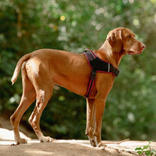 Load image into Gallery viewer, ROGZ Airtech Sport Harness - Small to X-Large
