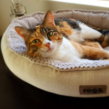 Load image into Gallery viewer, ROGZ Athens Oval Small or Medium Cat Bed
