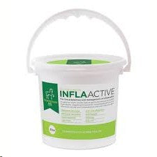 INFLA-ACTIVE Equestrian Aid (Ricky Litchfield) - 1L