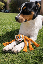 Load image into Gallery viewer, Rogz Scrubz Safari Dental Rope Toy - 44cm

