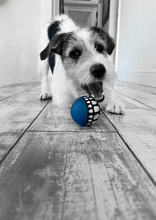 Load image into Gallery viewer, ROGZ Grinz Dog Treat Ball (small, medium or large)
