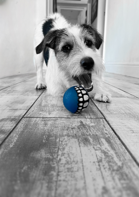 ROGZ Grinz Dog Treat Ball (small, medium or large)