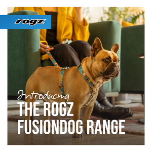 NEW! ROGZ Fusion Dog Range or Collars, Leads & Harnesses