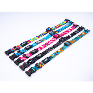 NEW! ROGZ Fusion Dog Range or Collars, Leads & Harnesses
