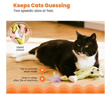 Load image into Gallery viewer, Wiggle Worm (Padded Plush) Electronic Cat Toy (14cmx21cm)
