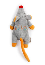 Load image into Gallery viewer, Cutest Ever All For Paws Catnip Cat Toy Jumbo Mouse (20cm)
