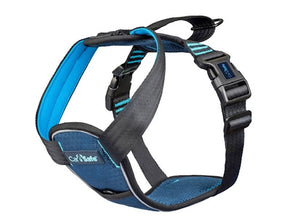 Company of Animals CarSafe Crash-Tested Harness